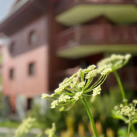 Appartments In Ecrin Des Neiges Apartment Tignes